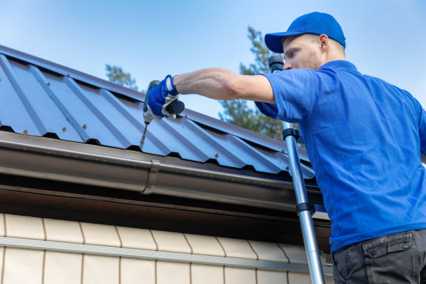 Best Roof Moss and Algae Removal  in Collingdale, PA