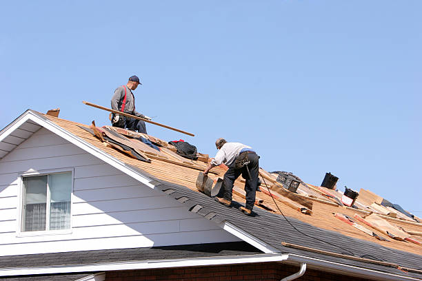 Best Flat Roofing  in Collingdale, PA